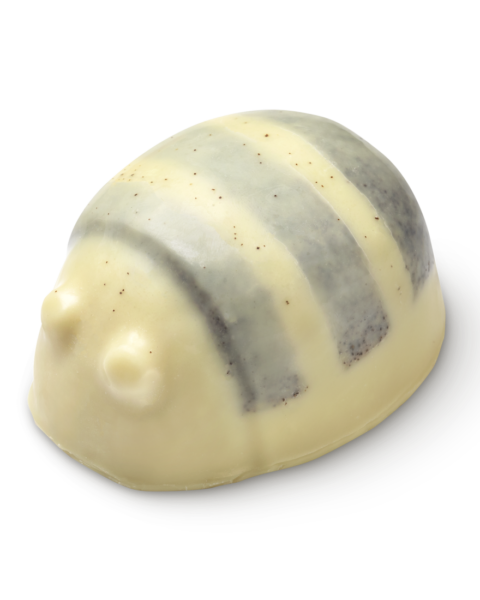 Začněte nový rok rostlinně