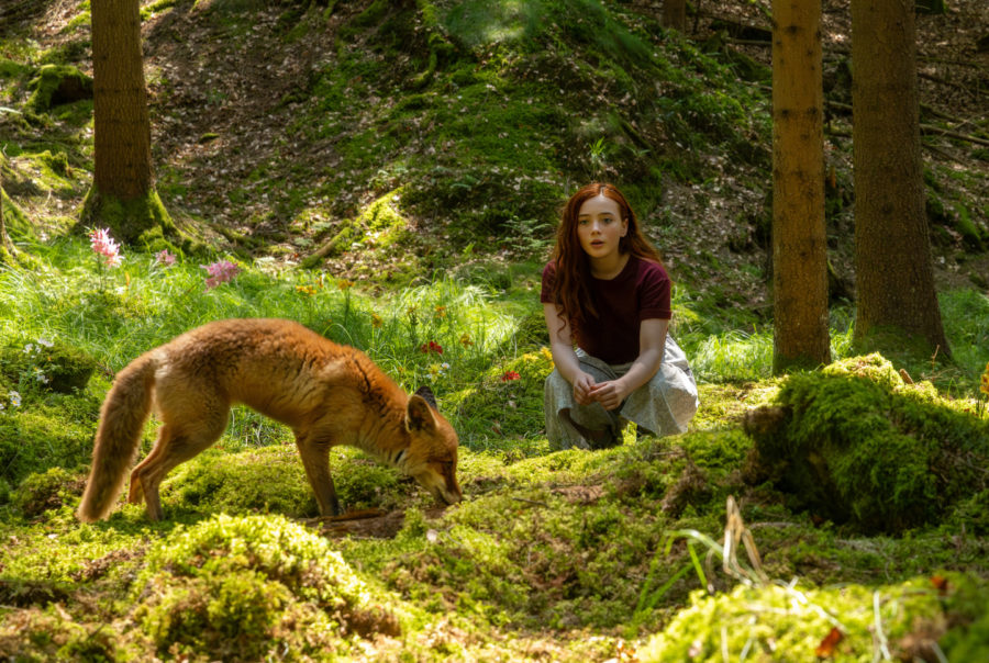 Magie v kinech: Dívka jménem Willow je fantastický pohádkový příběh